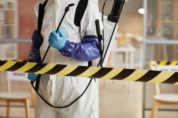 Professional Sewage Cleanup technician working in Greenville, IN